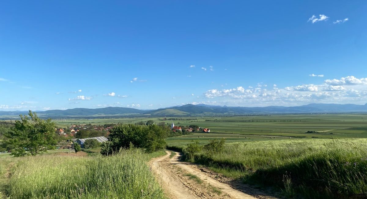 A scenic view of a dirt road leading through fields and hills in Angheluș, Romania under a clear blue sky.