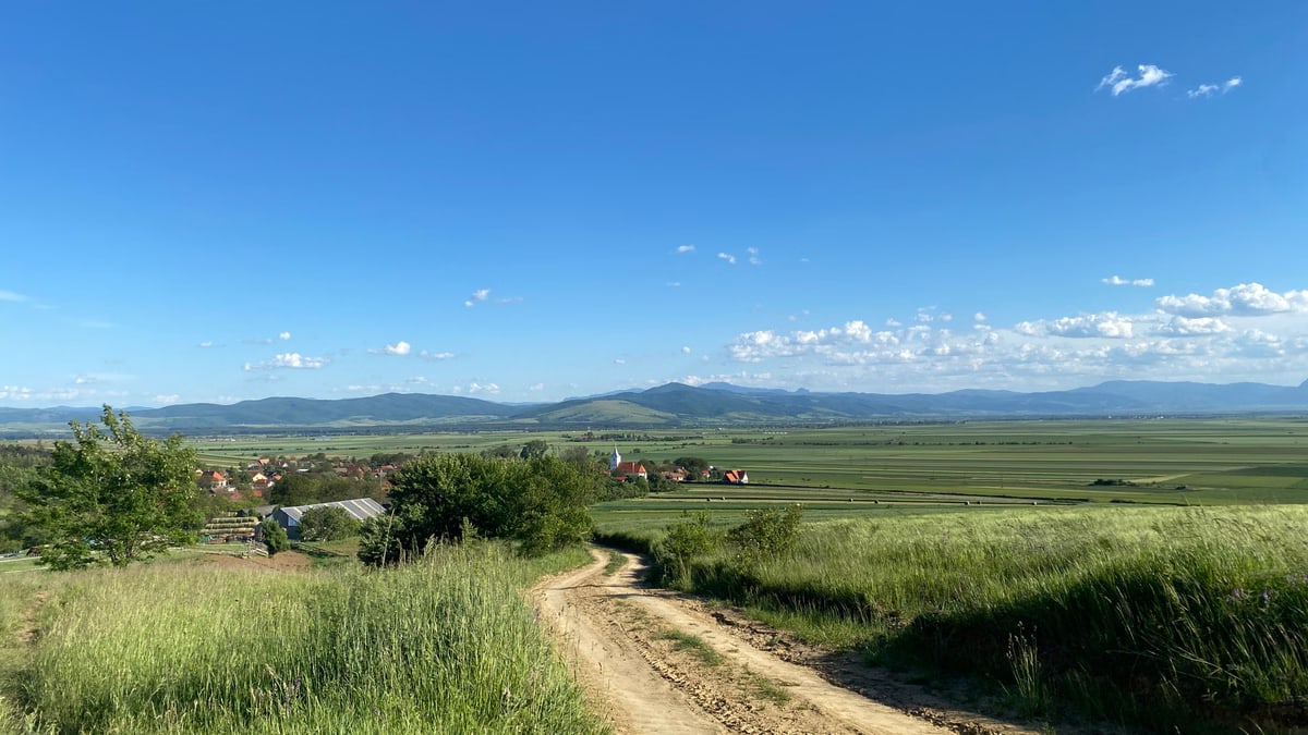 A scenic view of a dirt road leading through fields and hills in Angheluș, Romania under a clear blue sky.